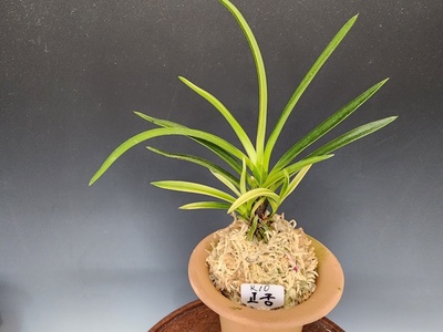 고궁3