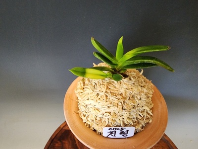 천평