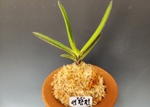 인왕전