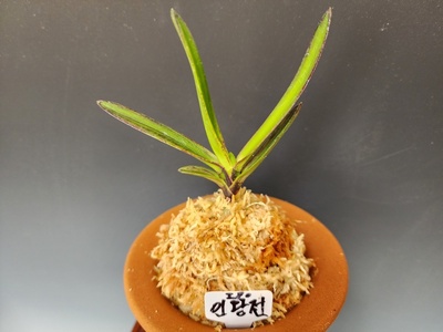 인왕전