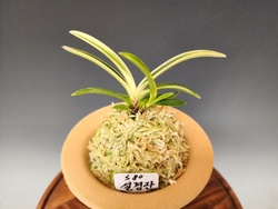 설경관2