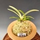 설경관2