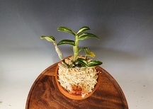 태산설