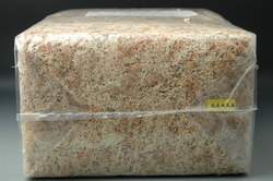 5A 수태(1kg)