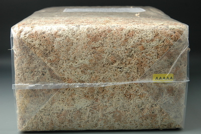 5A 수태(1kg)