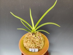 고궁2