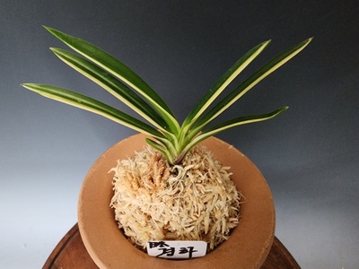 경하1