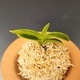 창룡전